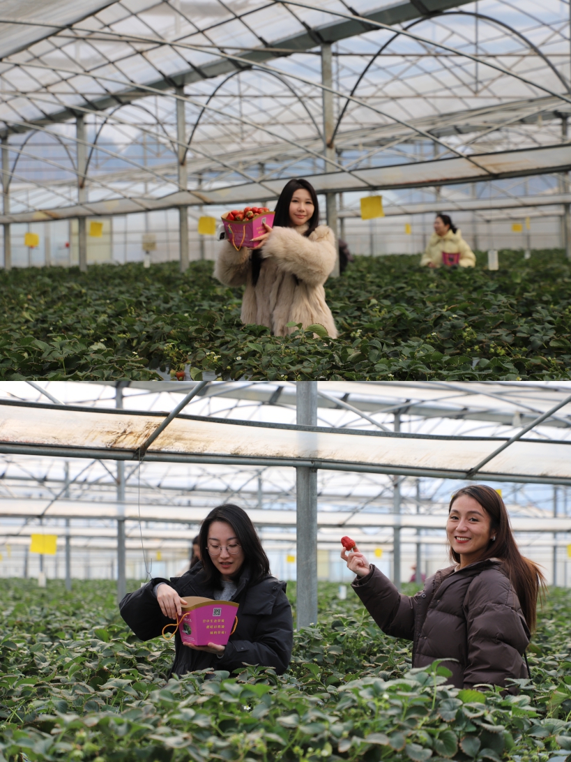 ��Ӯ���ʡ�bwin(�й�)Ψһ�ٷ���վ